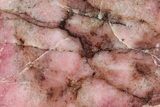 Polished Rhodonite Slab - Australia #239723-1